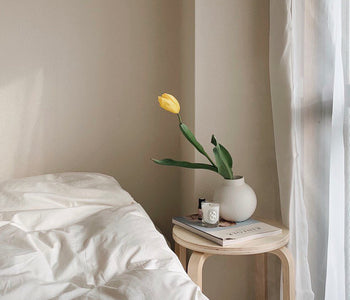 花言葉と一緒に楽しむ。春のお部屋に添えたいお花たち