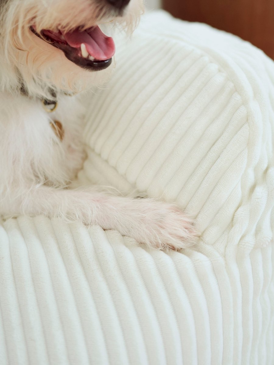OR - 9196 - LOOSY - HUGME 1人掛けビーズソファ ミニ Ivory