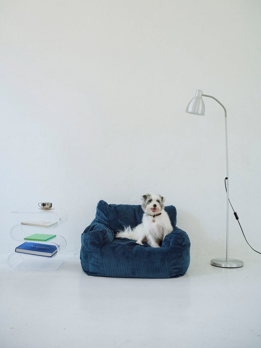 OR - 9200 - LOOSY - HUGME 1人掛けビーズソファ ミニ Navy