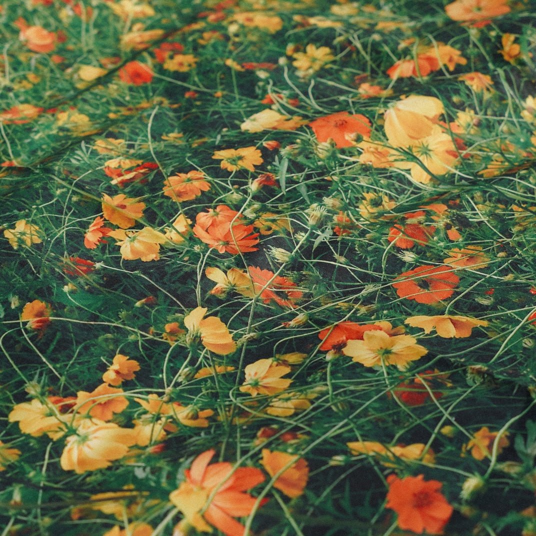 BR-5578-sleeptight.object-sleeptight.object ピクニックマット｜wild flower picnic mat