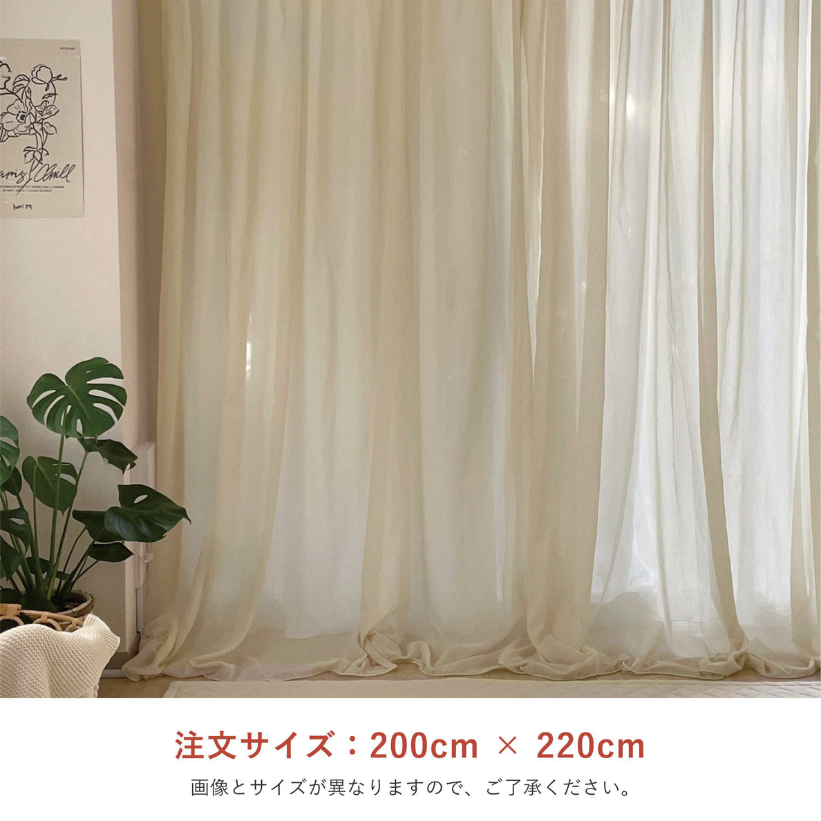 OR-1721-Little Rooms-セミオーダーサイズ｜カラーシフォンカーテン クリーム 1枚