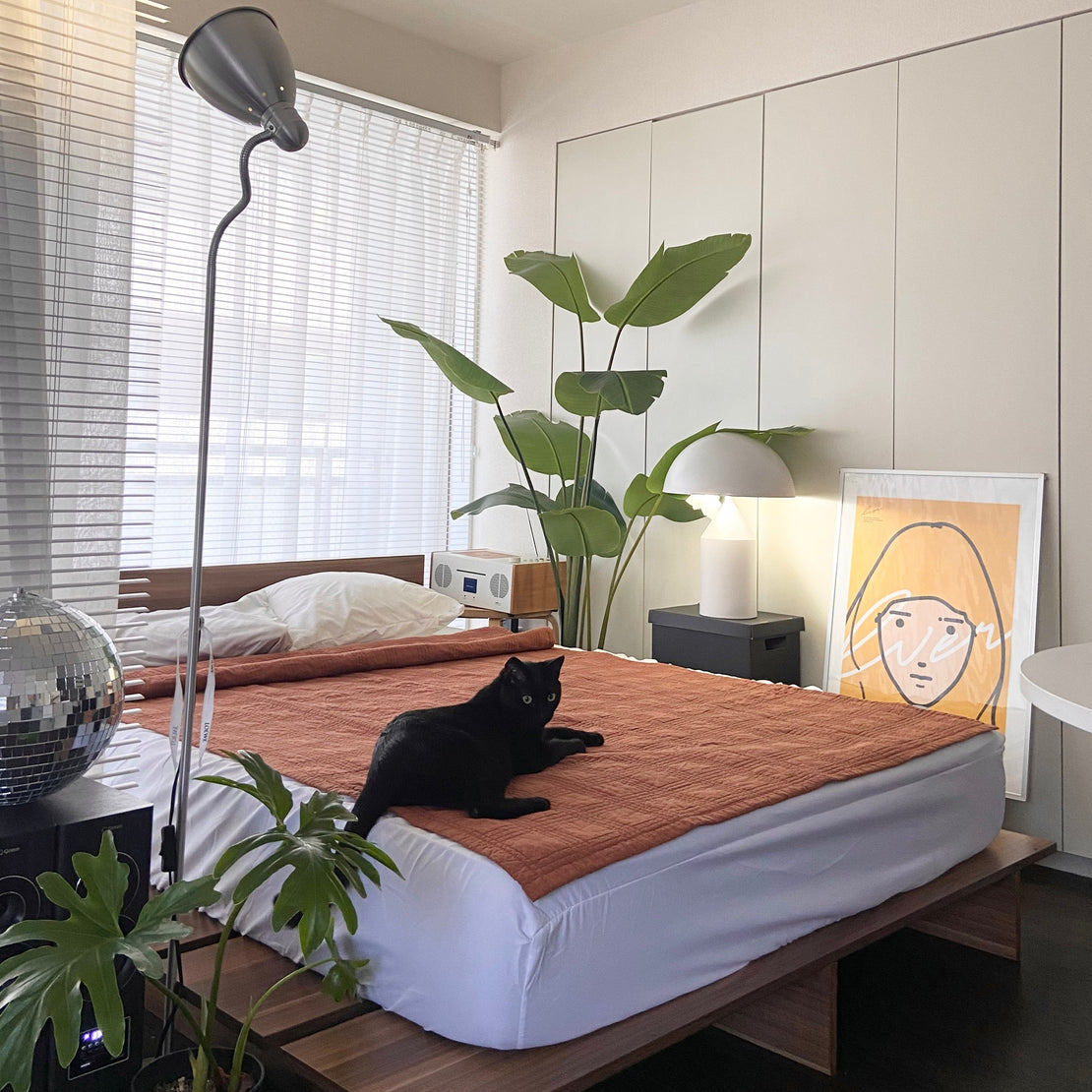 OR-2322-Little Rooms-マルチケット｜イブル windowpane