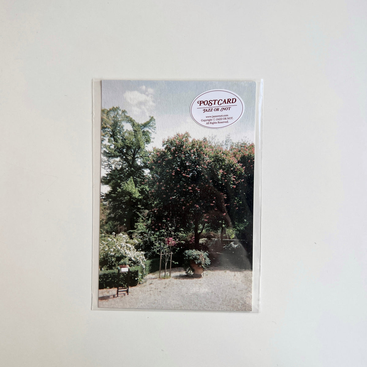 BR-1546-JAZZ OR NOT-JAZZ OR NOT ポストカード｜JARDIN DE PARIS