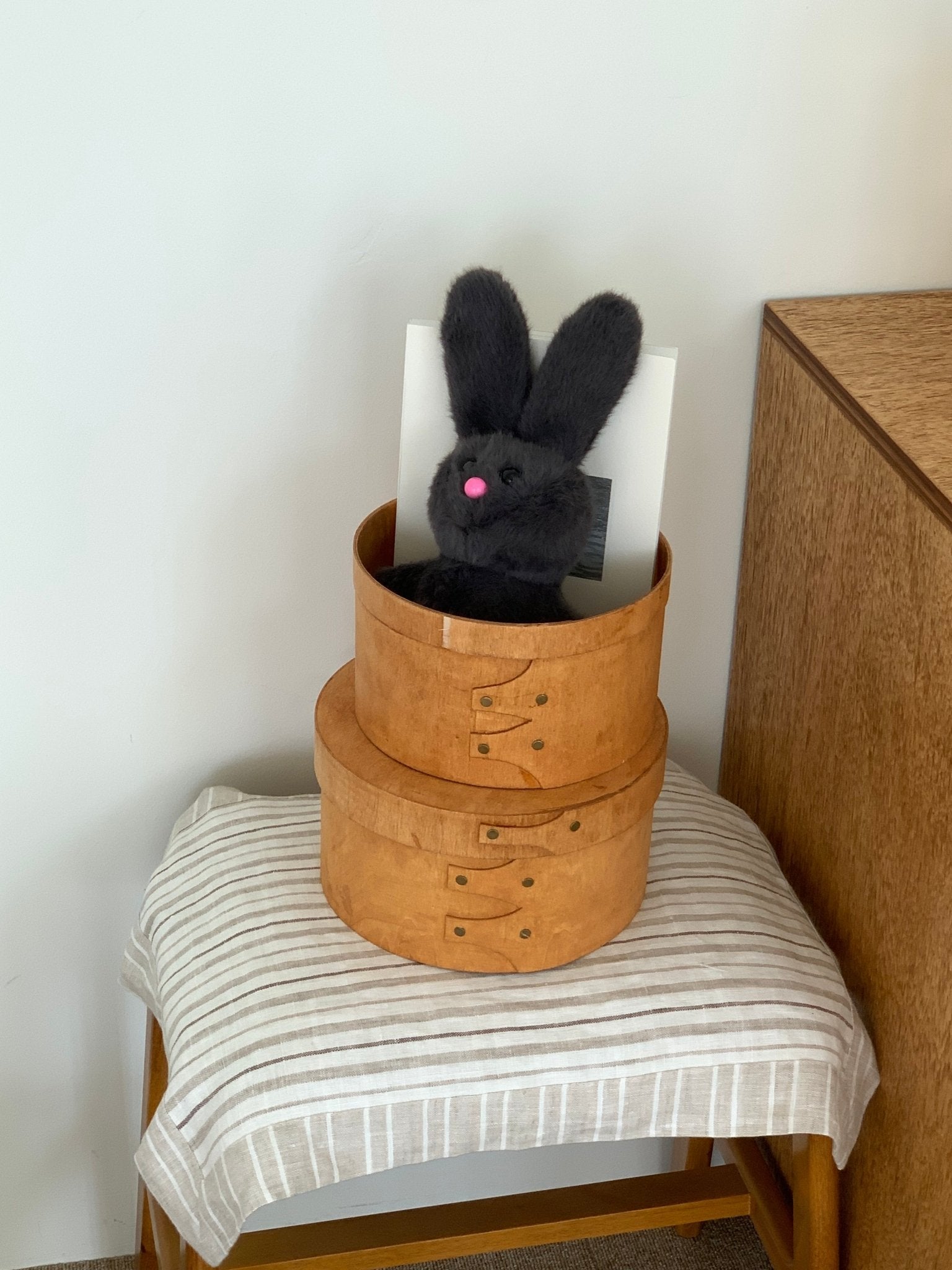BR-5371-Olivet-Olivet ぬいぐるみ｜ BIG rabbit doll