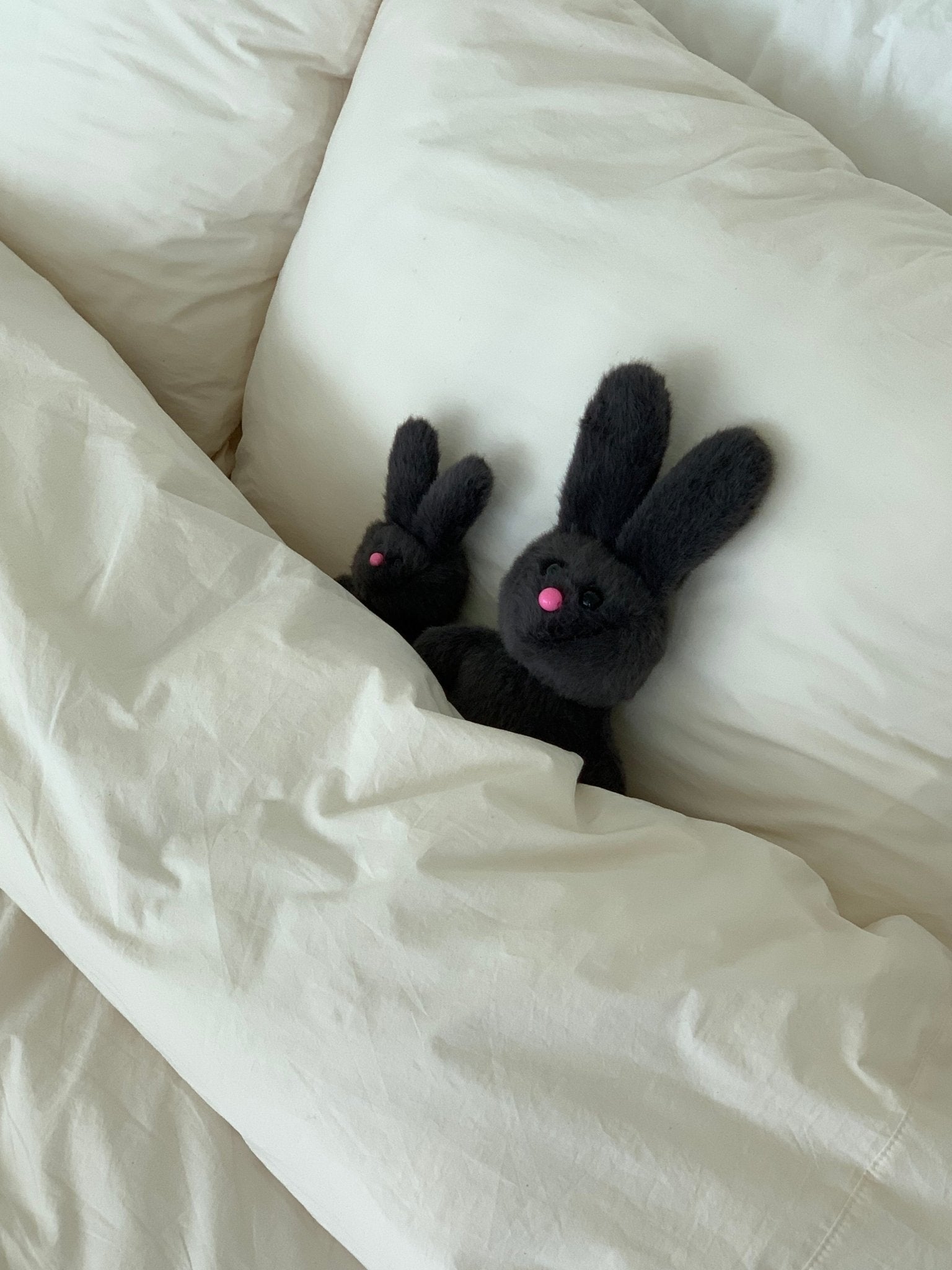 BR-5371-Olivet-Olivet ぬいぐるみ｜ BIG rabbit doll