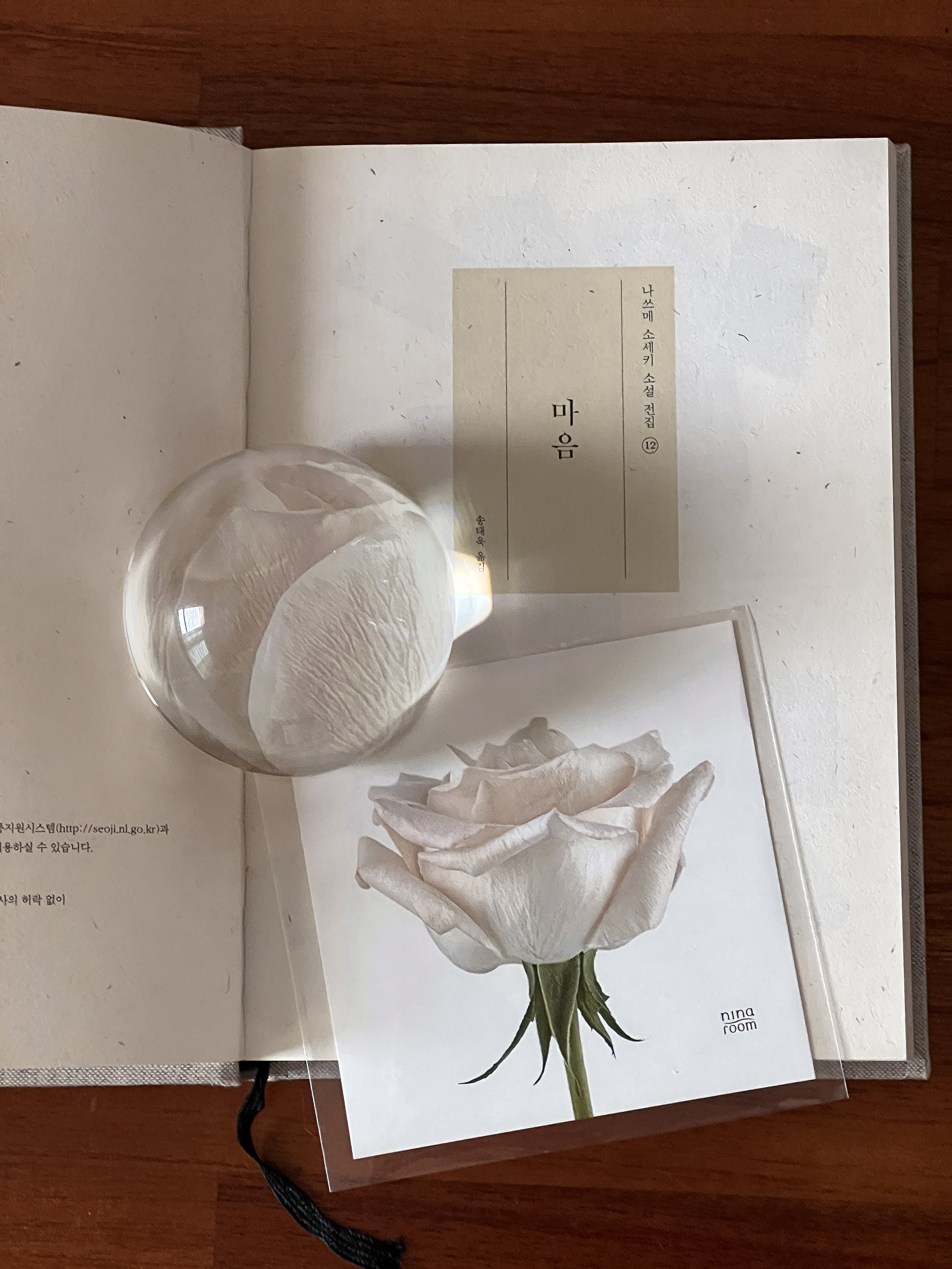 BR-4078-ninaroom-ninaroom ペーパーウェイト｜Reverie Paperweight
