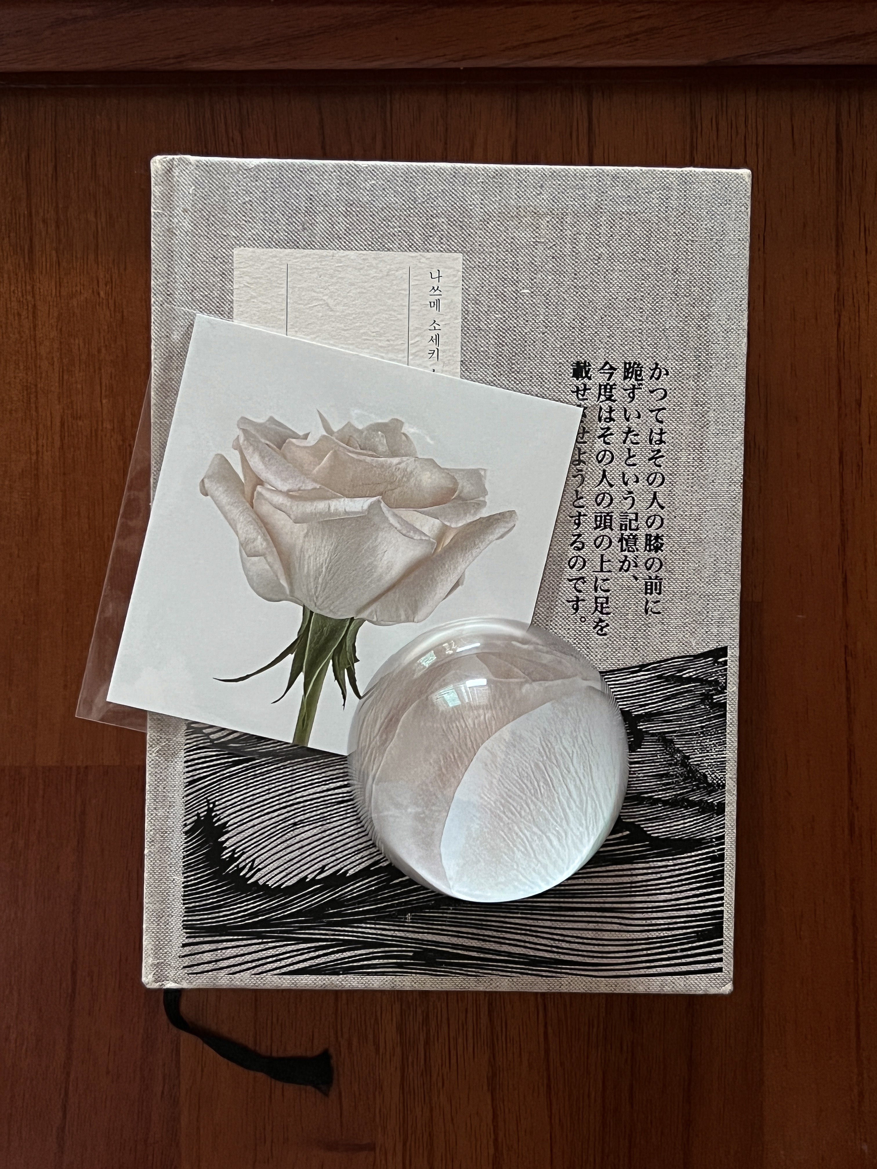 BR-4078-ninaroom-ninaroom ペーパーウェイト｜Reverie Paperweight