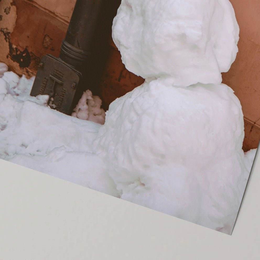 BR-2984-t.d.s-t.d.s ポスター｜snow man