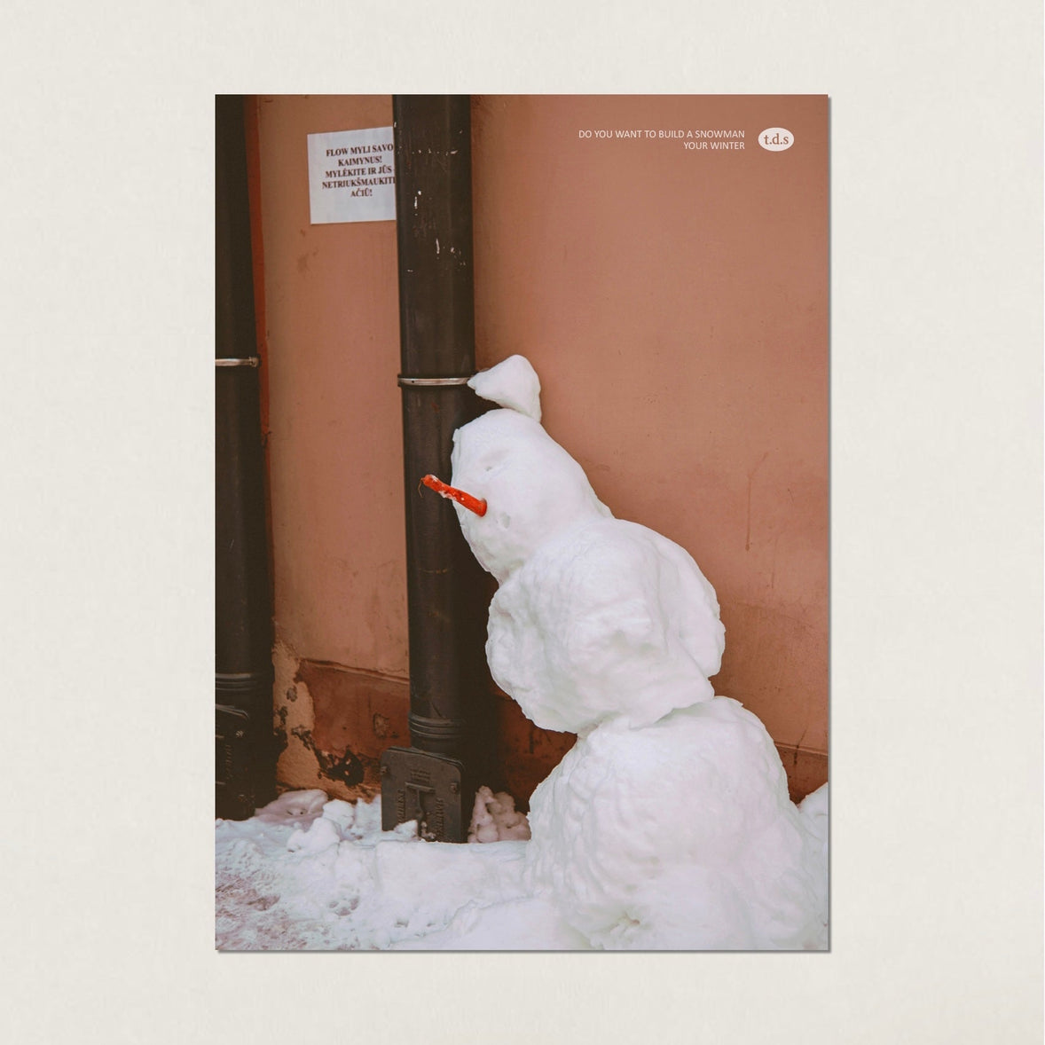 BR-2984-t.d.s-t.d.s ポスター｜snow man